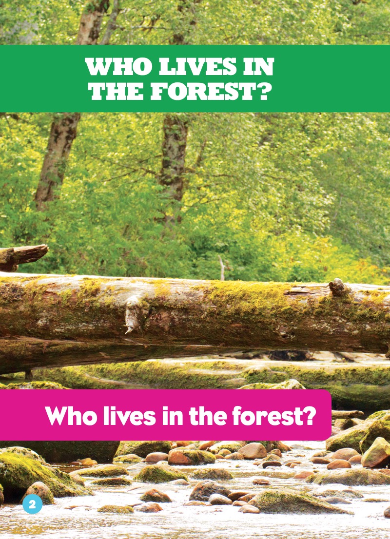 Who Lives in the Forest? — page 1