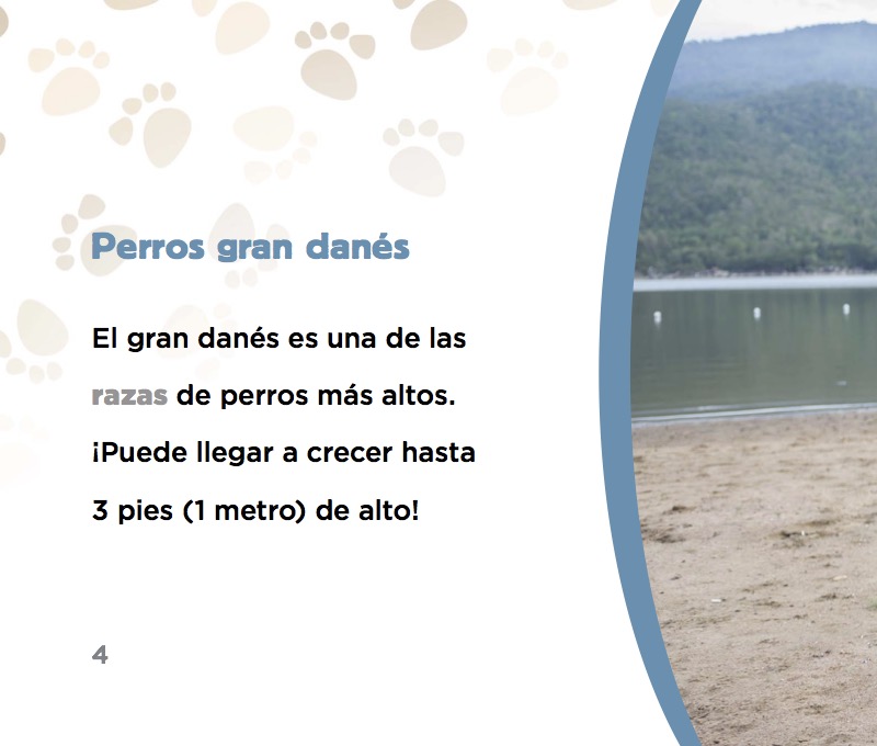 Perros gran danés — page 1