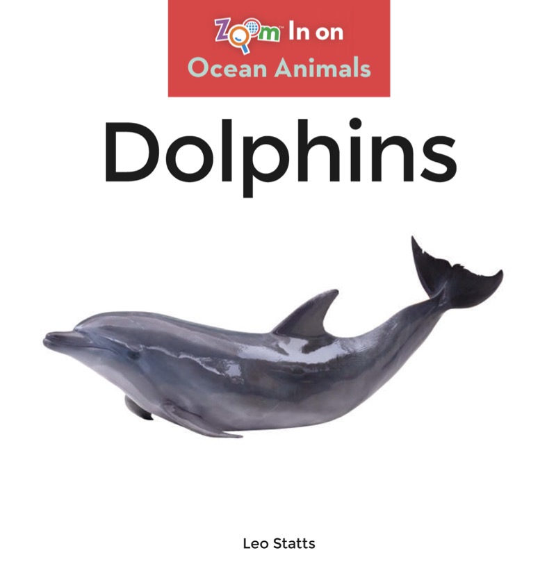 Dolphins book cover