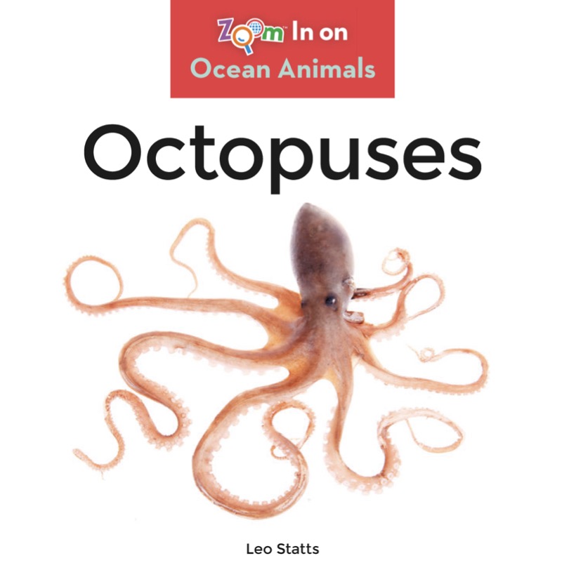 Octopuses book cover