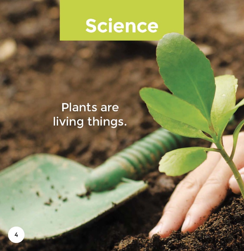Plants — page 1