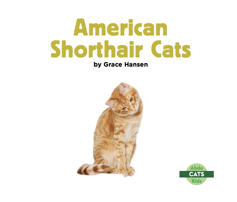 American Shorthair Cats book cover