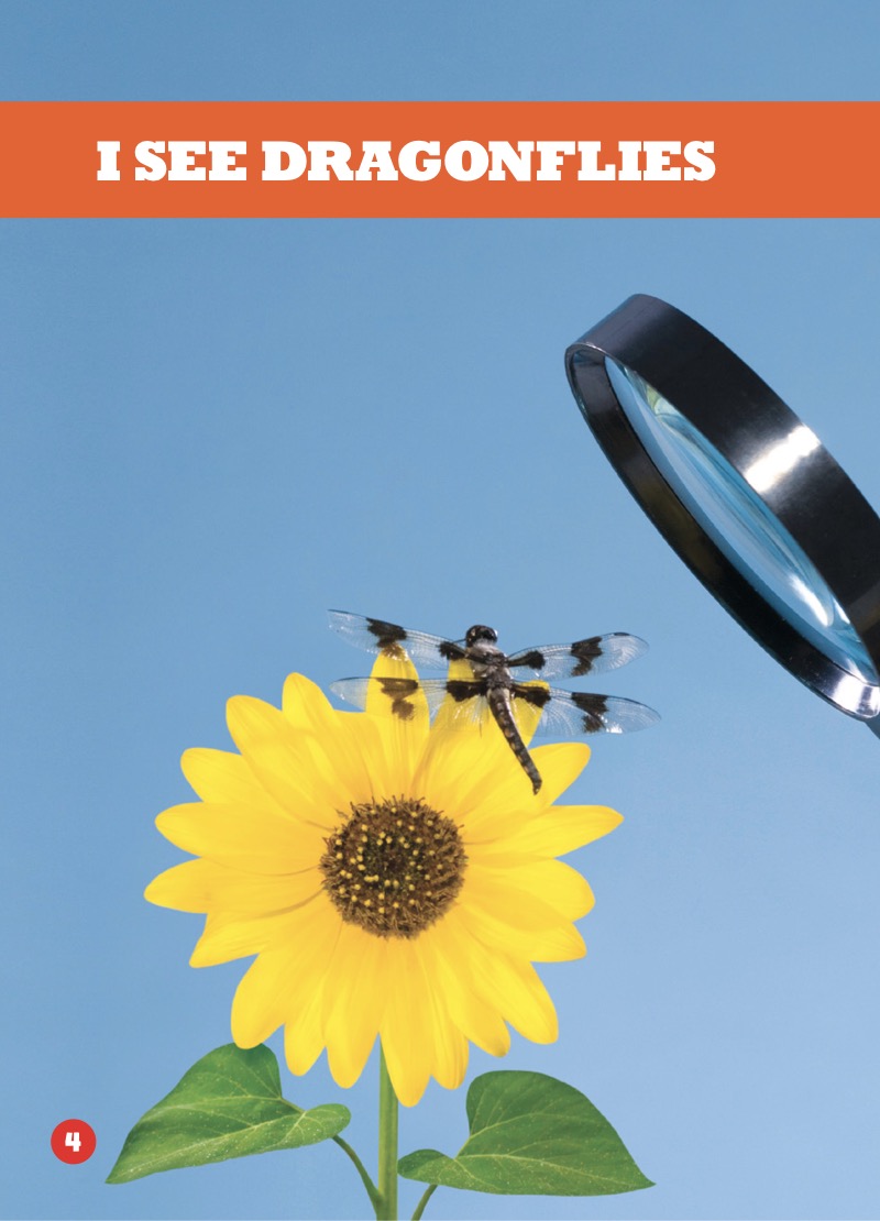 I See Dragonflies — page 1