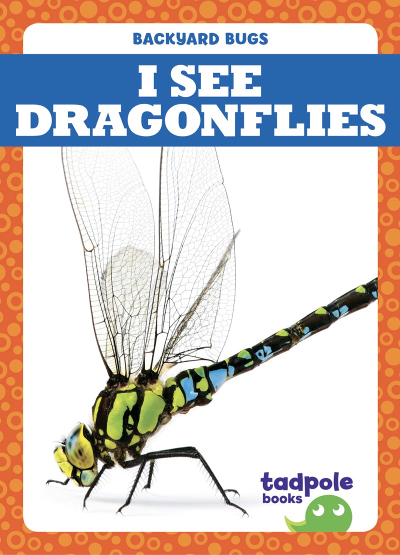 I See Dragonflies book cover