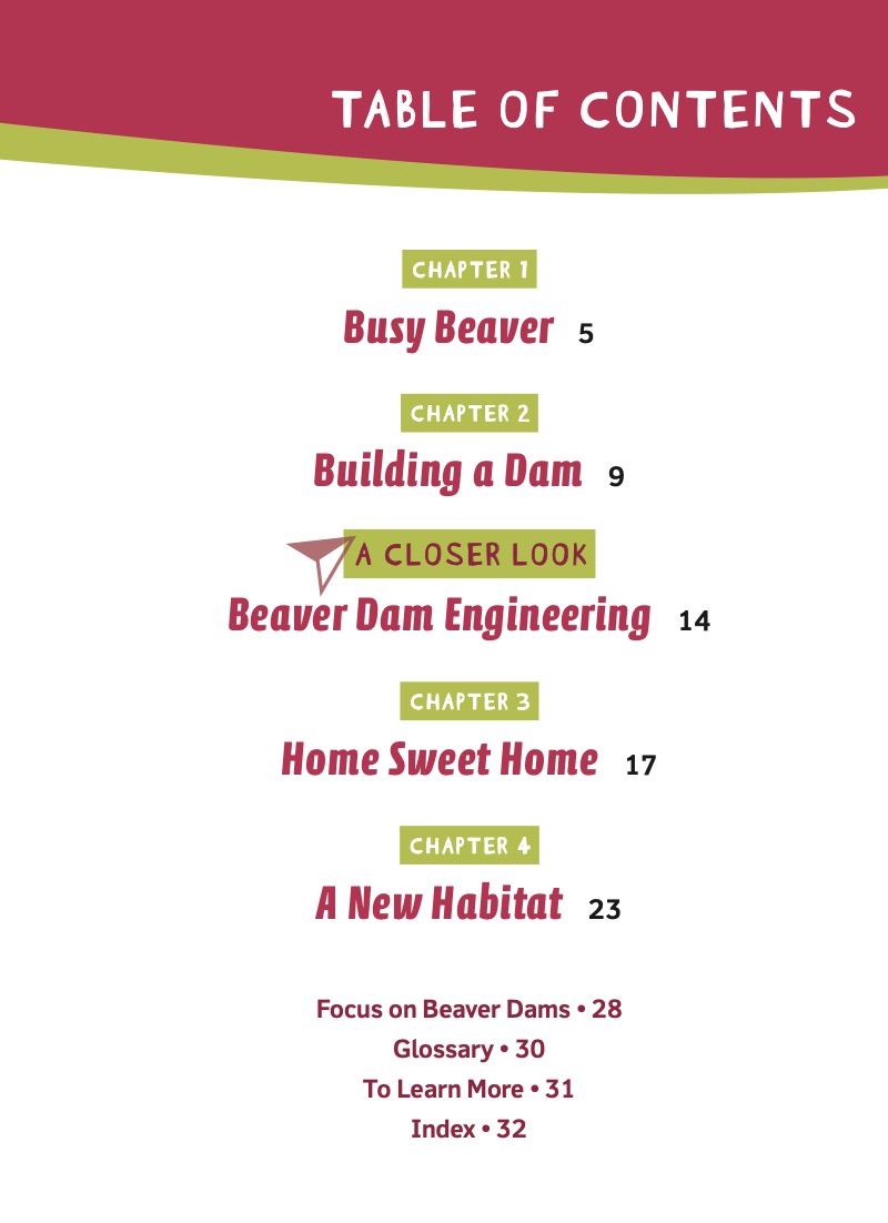 Animal Engineers: Beaver Dams book cover