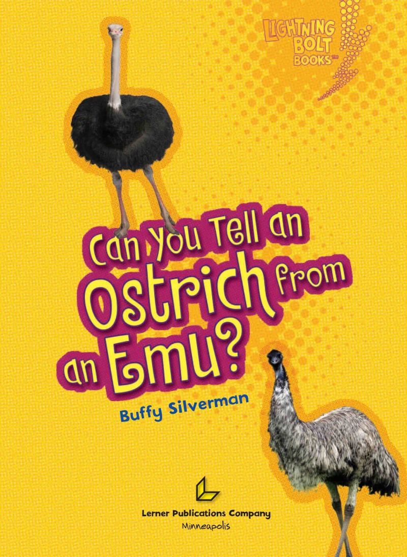 Can you tell an Ostrich from an Emu? book cover