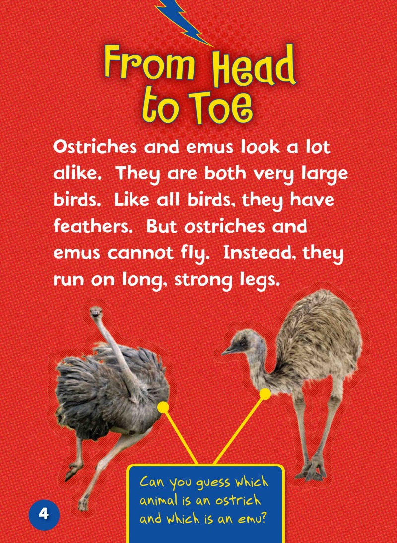 Can you tell an Ostrich from an Emu? — page 1