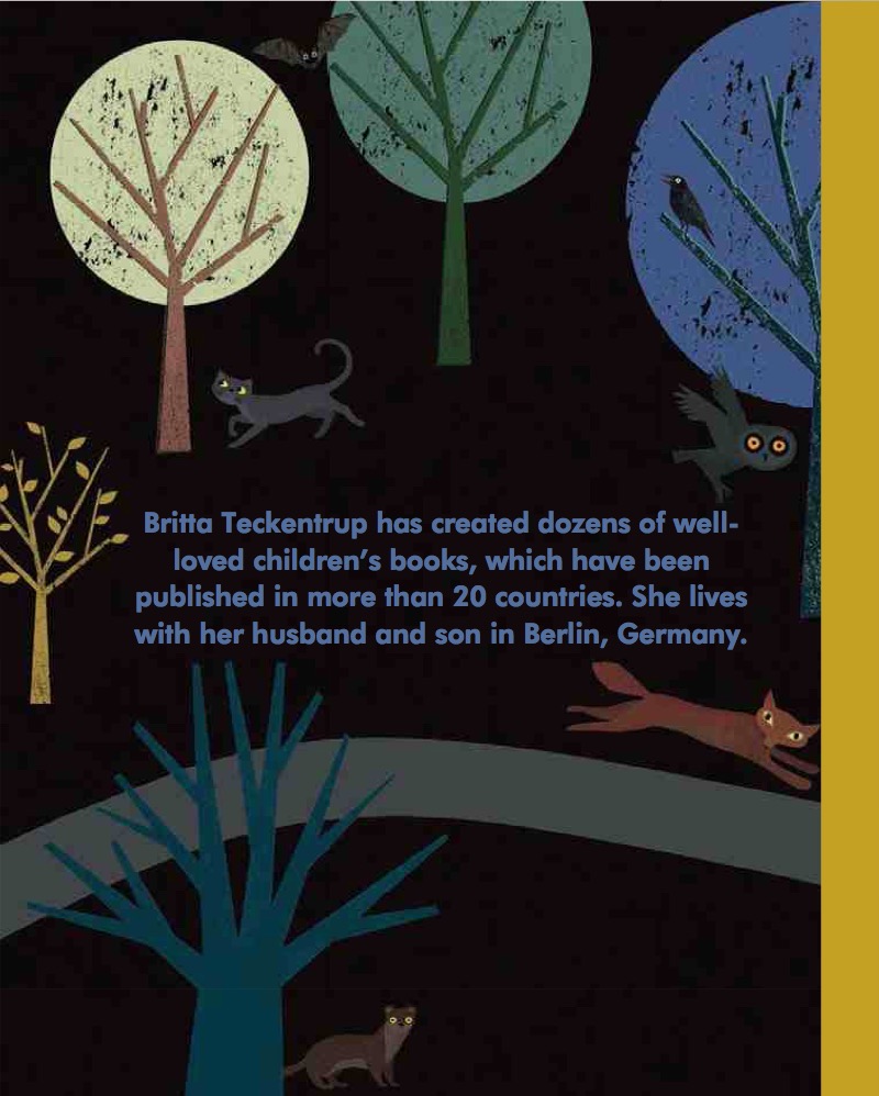 Run Home, Little Mouse book cover