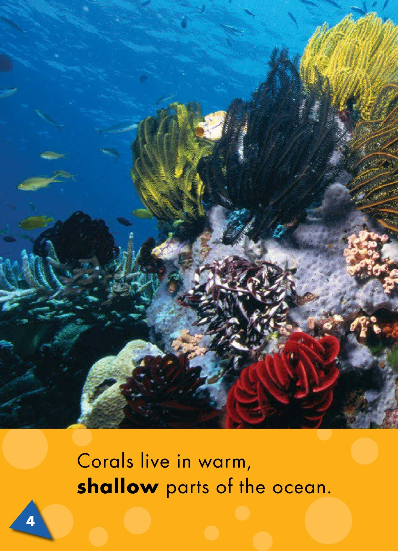 Corals: Oceans Alive — page 1