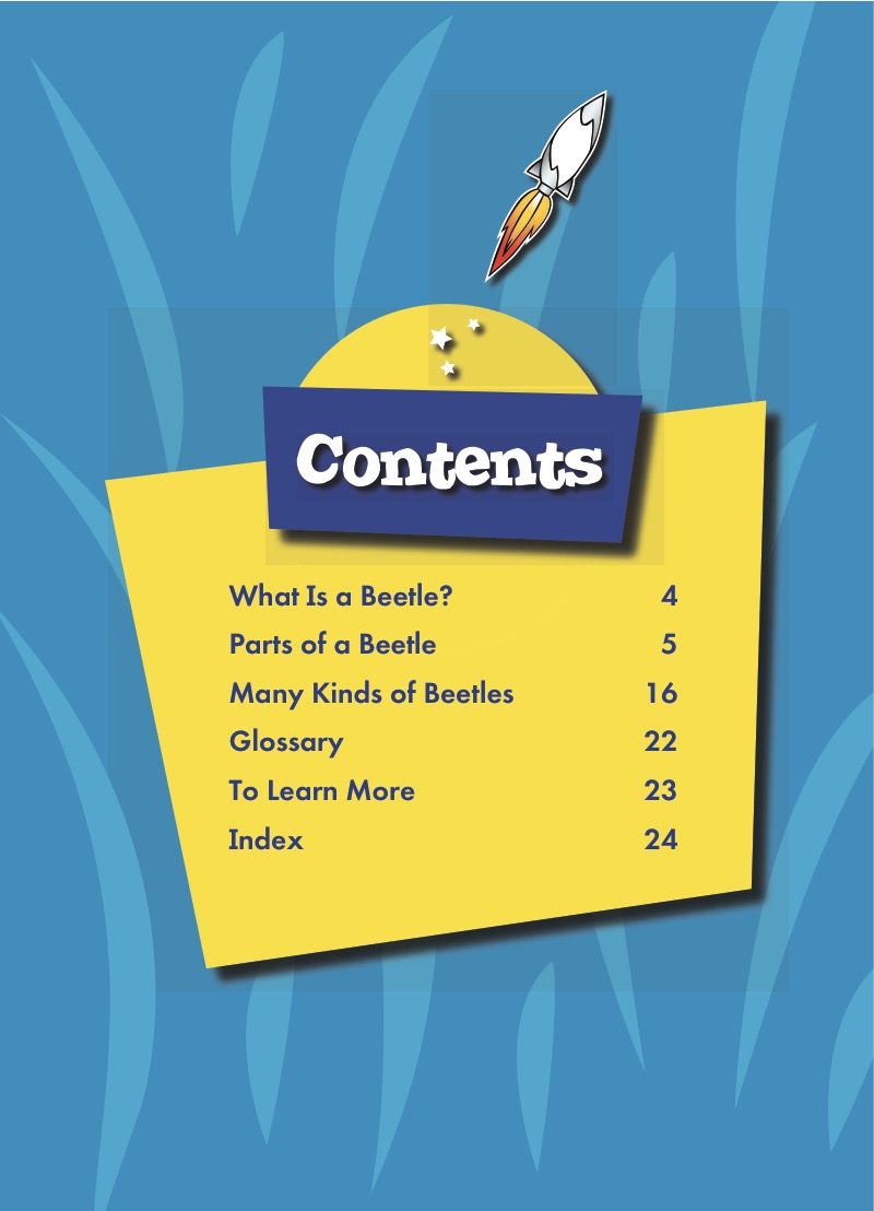 World of Insects: Beetles book cover