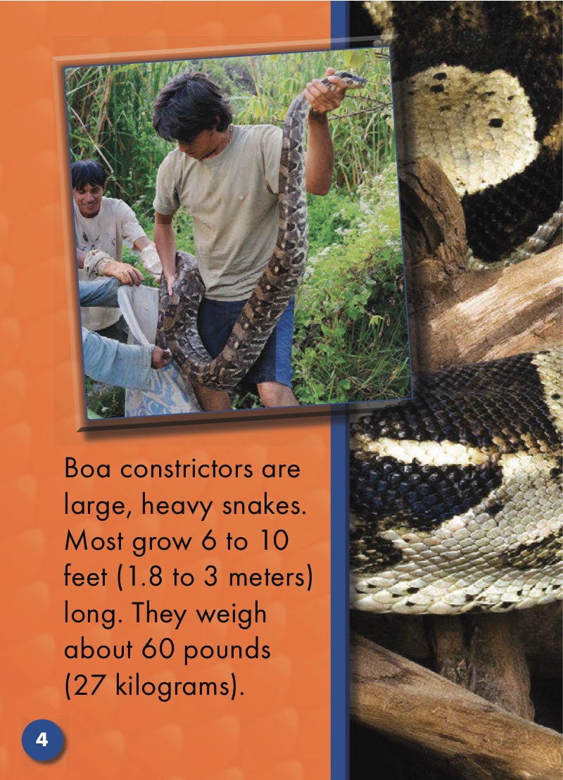 Boa Constrictors: Snakes Alive — page 1