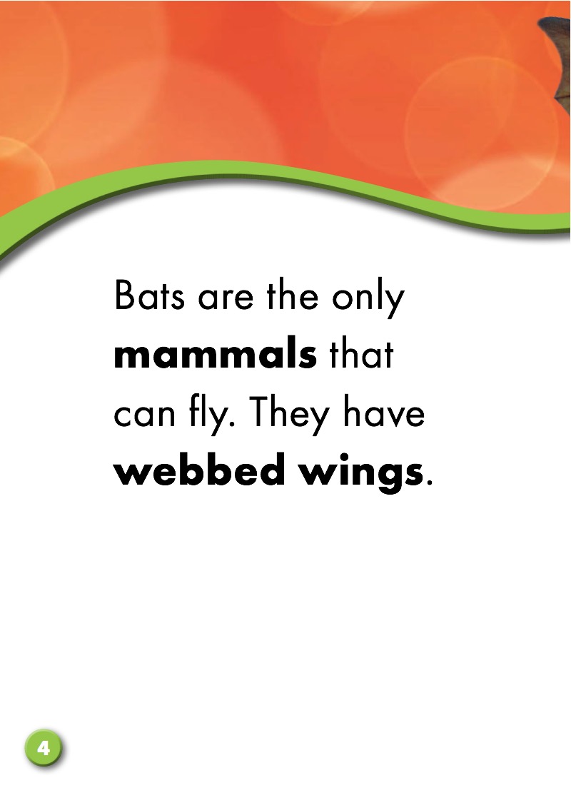 Bats: Backyard Wildlife — page 1