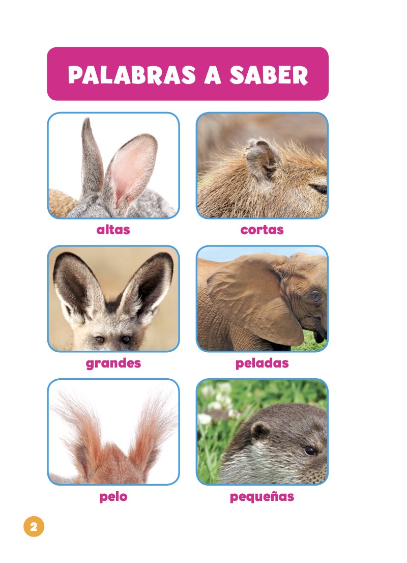 Las partes de los animales: Las orejas — page 1
