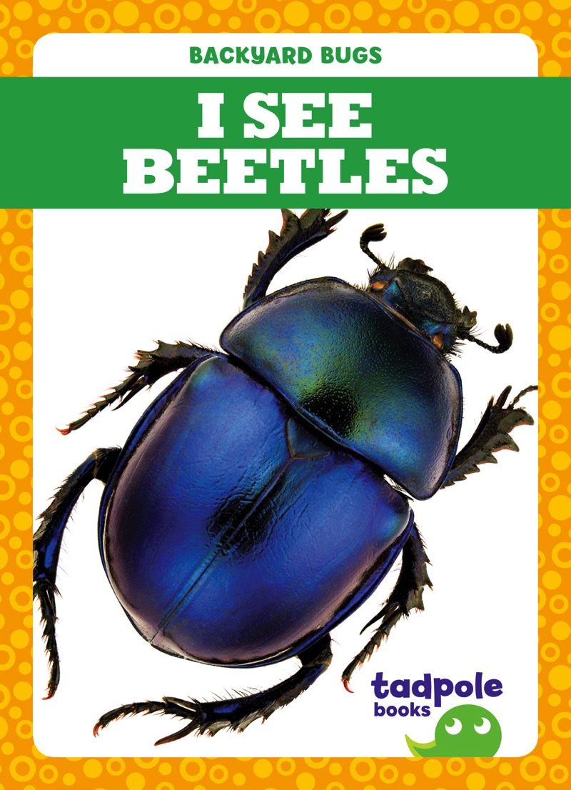 I See Beetles book cover