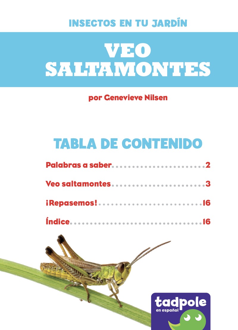 Insectos en tu jardín: Veo saltamontes book cover
