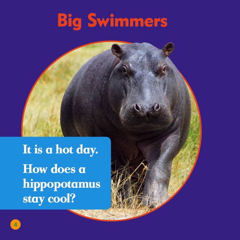 My First Animal Library: Hippopotamuses — page 1