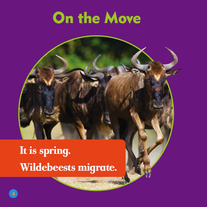 My First Animal Library: Wildebeests — page 1