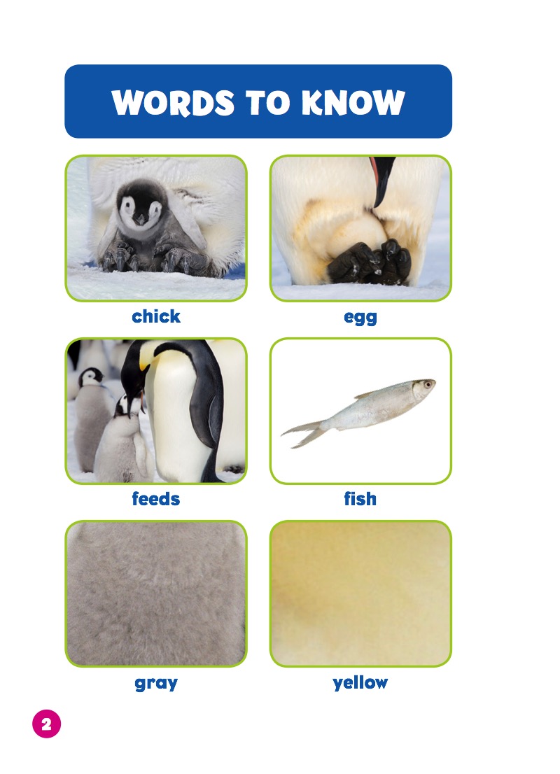 Polar Babies: Penguin Chicks — page 1