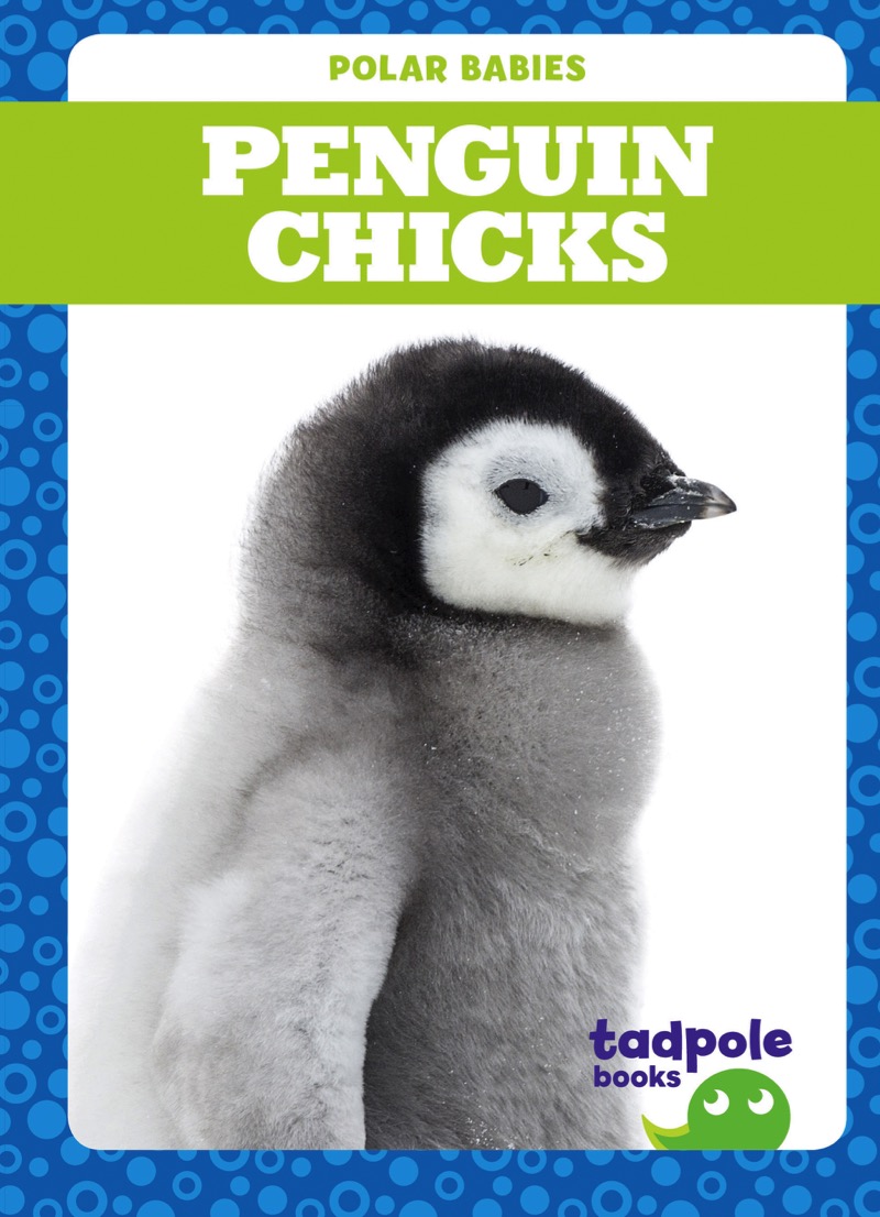 Polar Babies: Penguin Chicks book cover