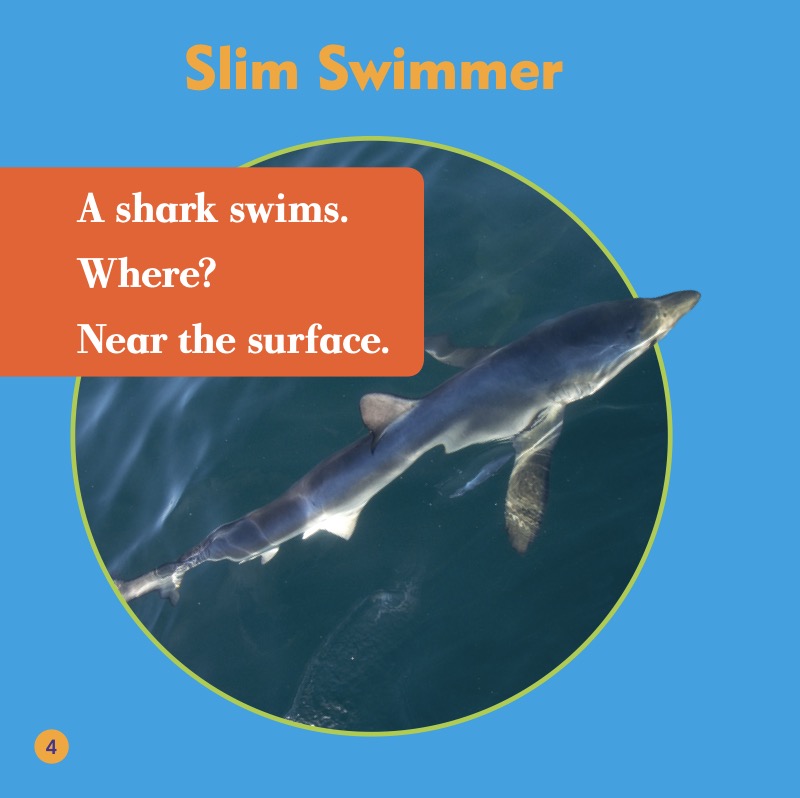 Shark Bites: Blue Shark — page 1