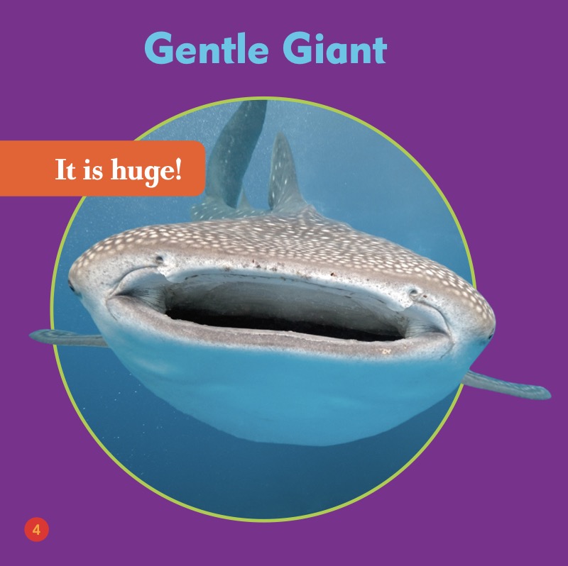 Shark Bites: Whale Shark — page 1