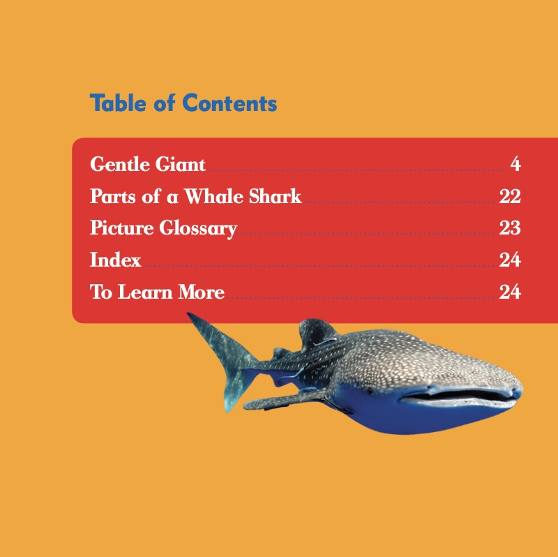 Shark Bites: Whale Shark book cover