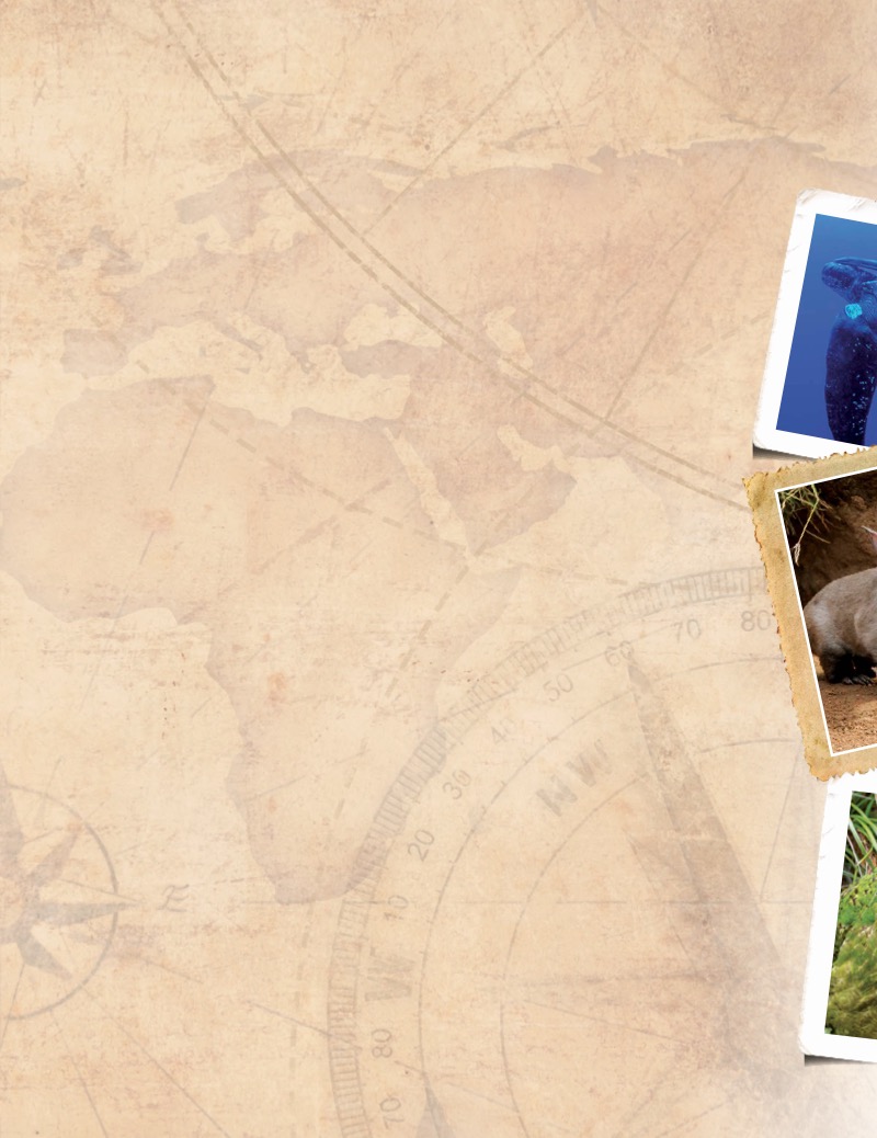 Last Chance to Save: Endangered Animals — page 1