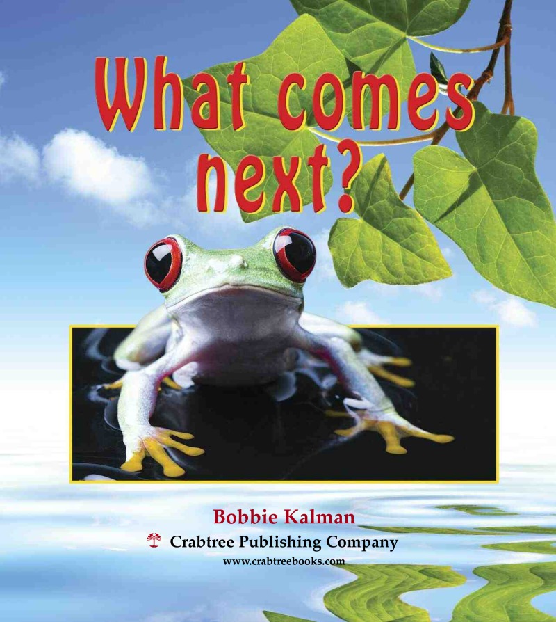What Comes Next? book cover