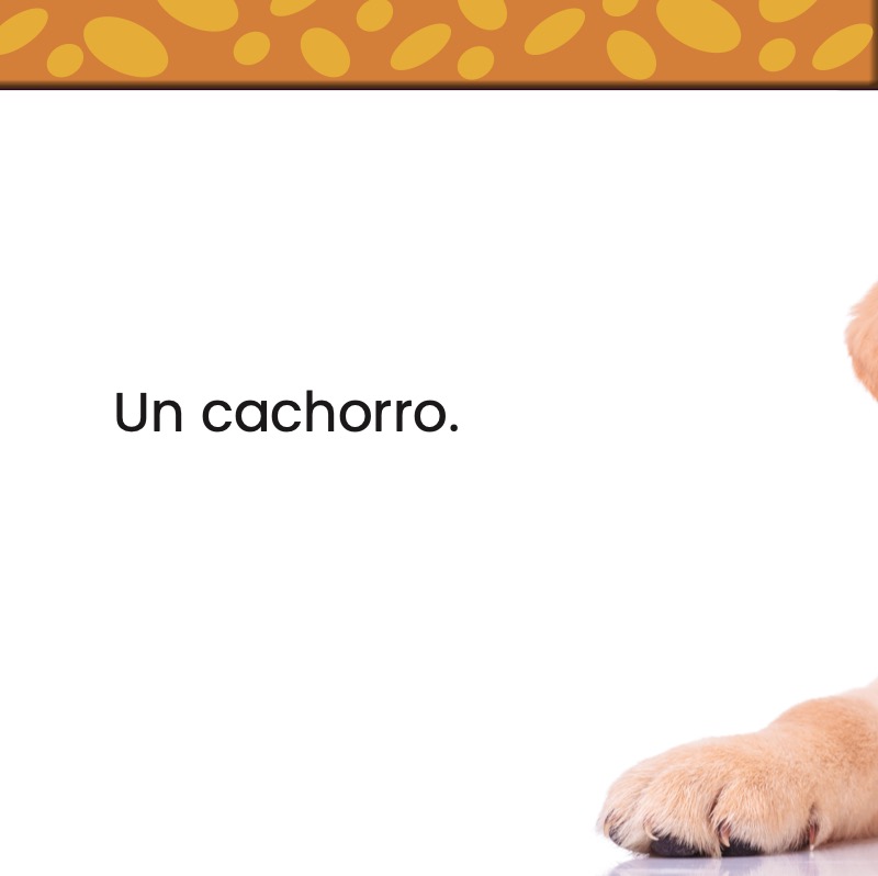 Contando cachorros — page 1