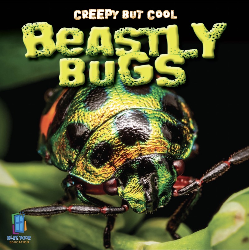Creepy But Cool: Beastly Bugs book cover