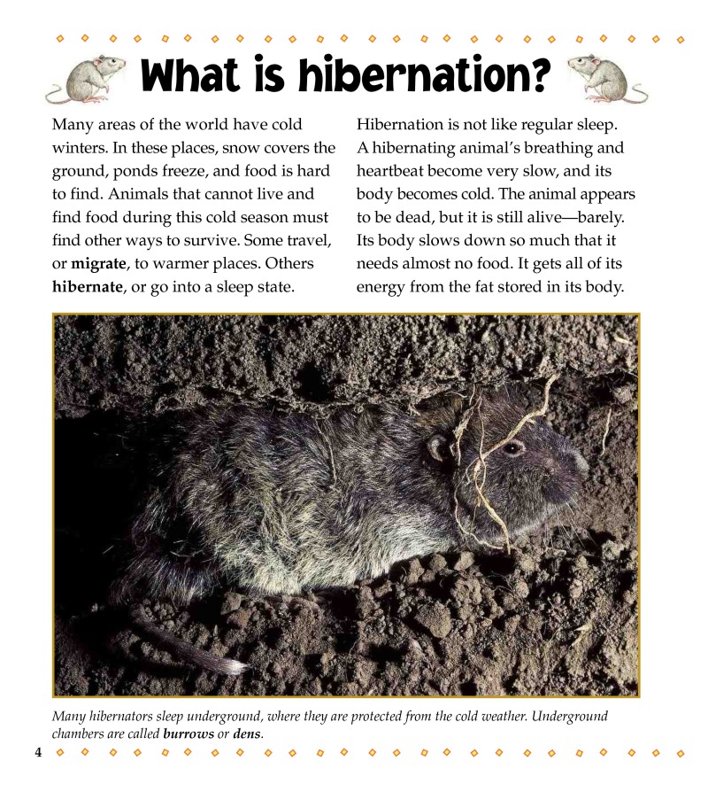 What is Hibernation? — page 1