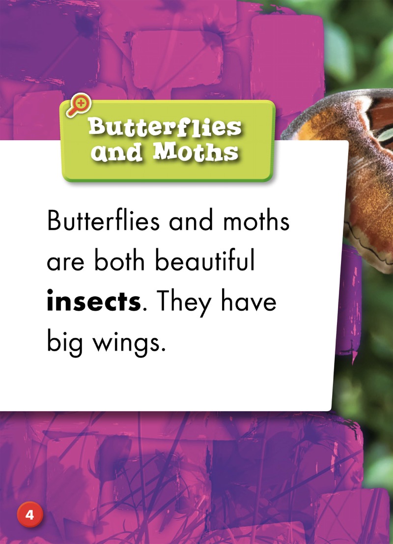 Butterfly or Moth? — page 1