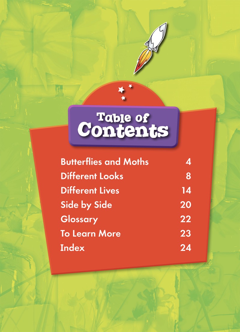 Butterfly or Moth? book cover
