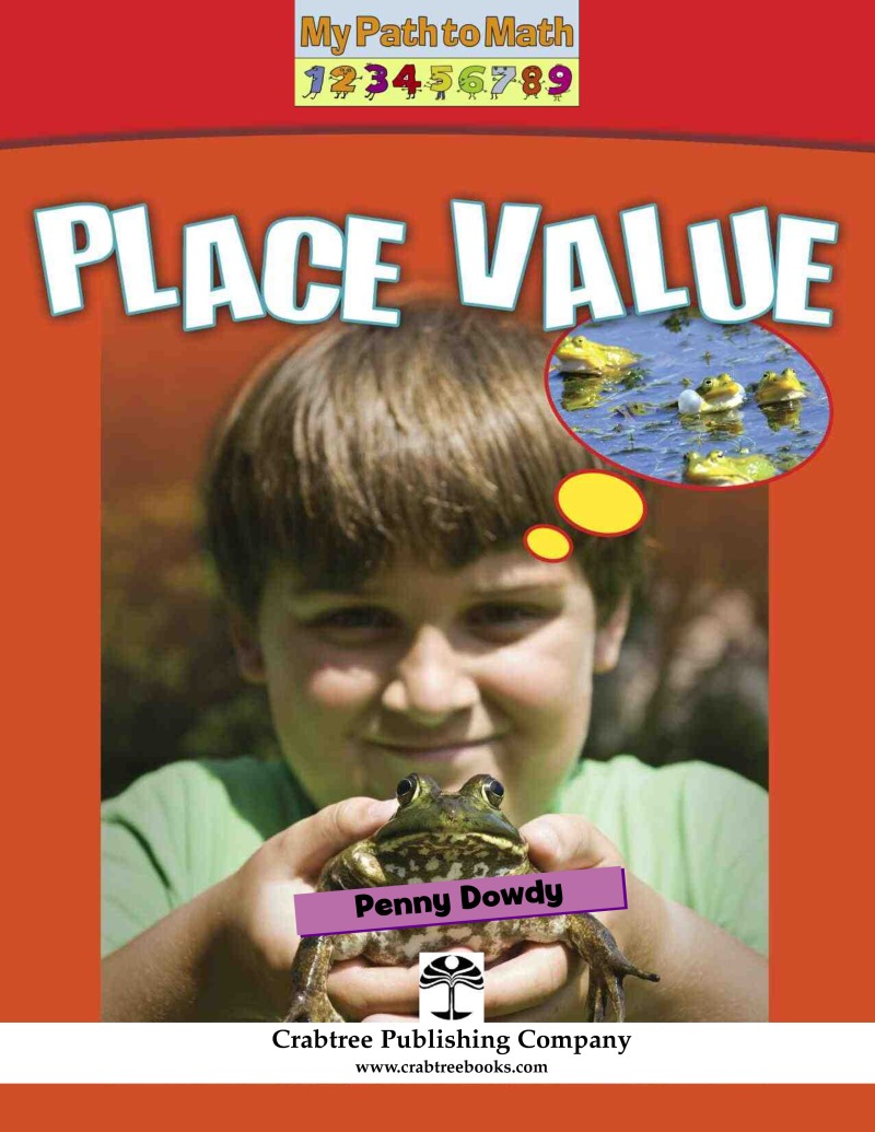 Place Value book cover