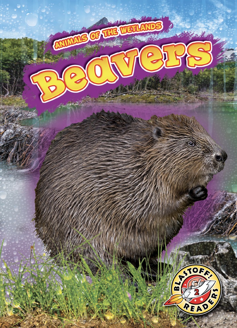 Animals of the Wetlands: Beavers book cover