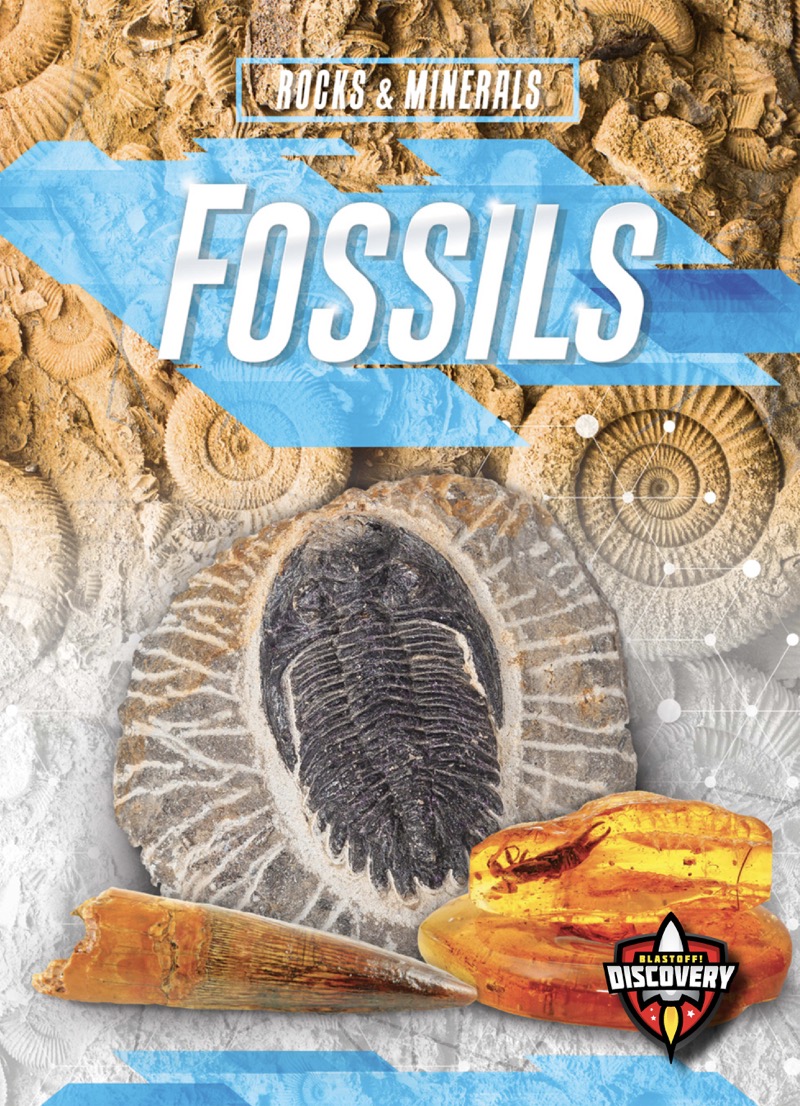 Fossils book cover