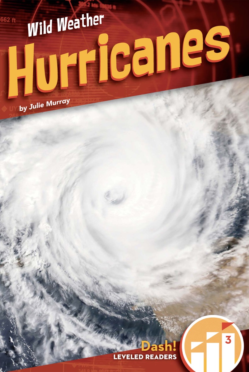 Hurricanes book cover