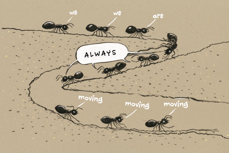 Ants Don't Wear Pants (TOON Level 1) — page 1
