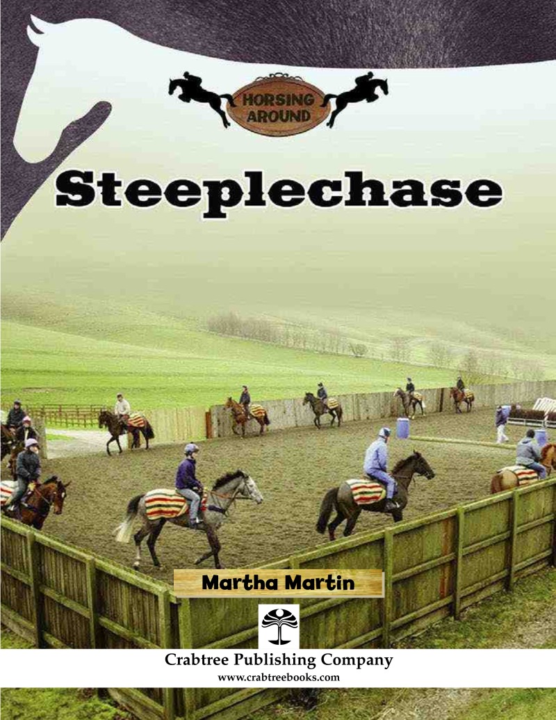 Steeplechase book cover