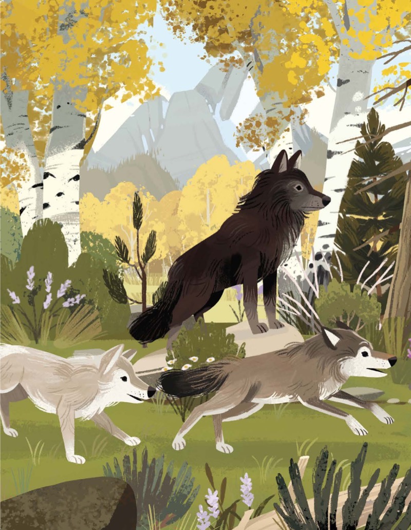 Bringing Back the Wolves: How a Predator Restored an Ecosystem — page 1