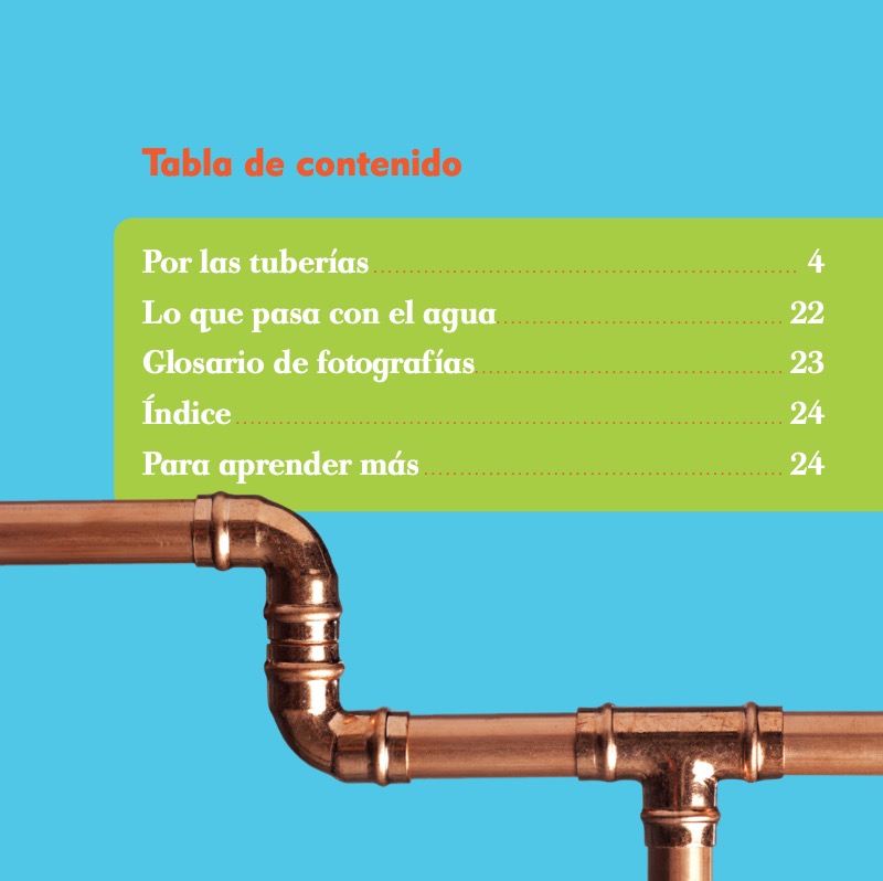 ¿Qué pasa con el agua? (Where Does Water Go?) book cover