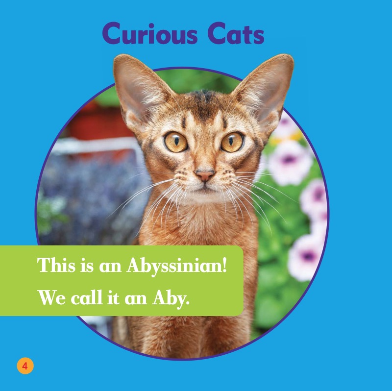 Cat Club: Abyssinians — page 1
