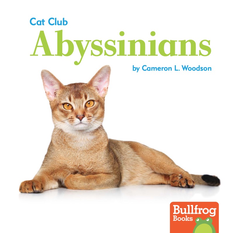 Cat Club: Abyssinians book cover