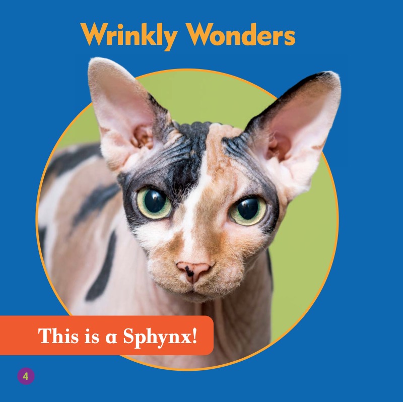 Cat Club: Sphynx — page 1