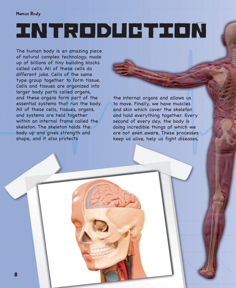 The Amazing Human Body — page 1