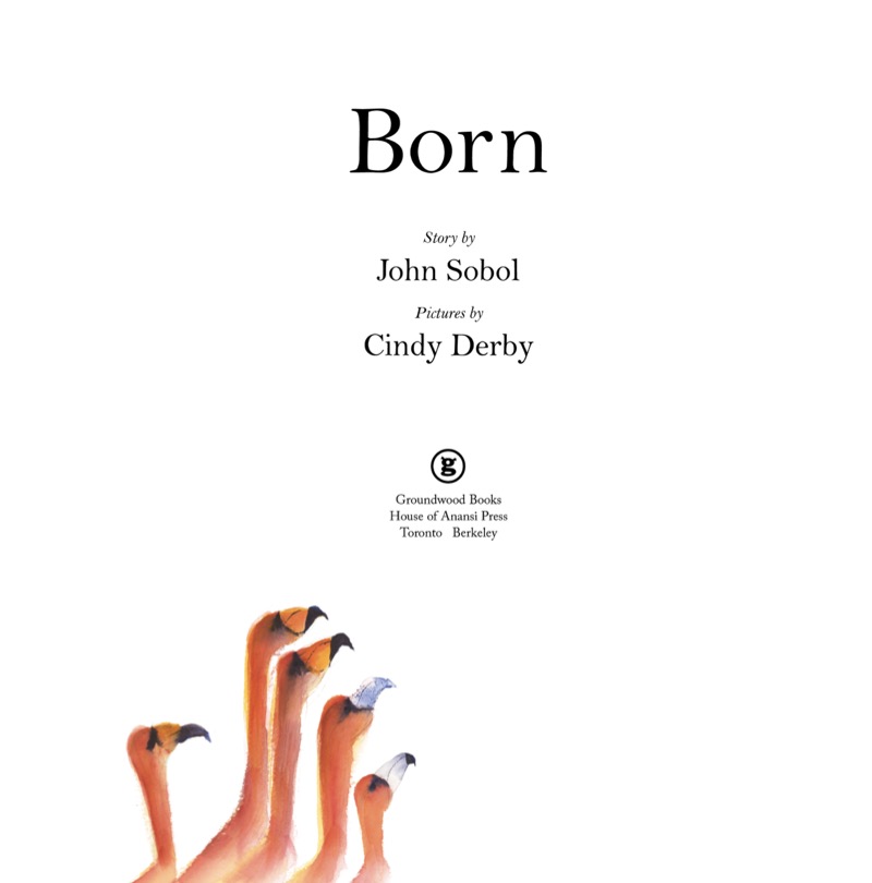 Born book cover