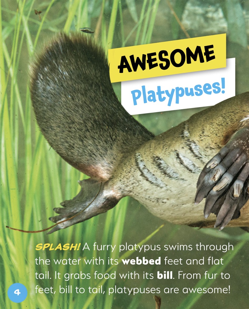 Awesome Animals: Platypus — page 1