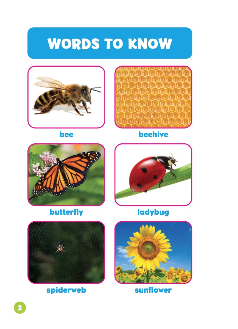 Patterns in the Garden — page 1