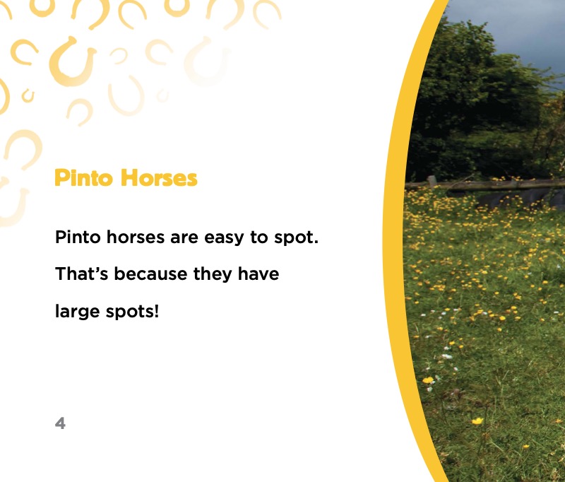 Pinto Horses — page 1