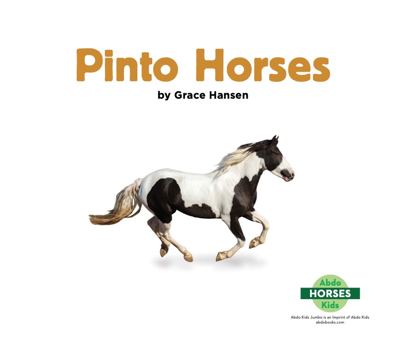 Pinto Horses book cover